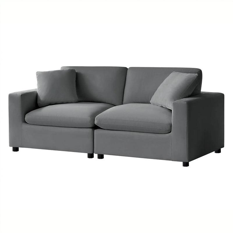 Caylie - Modular 2 Piece Sofa - Charcoal by HouseOfZazla