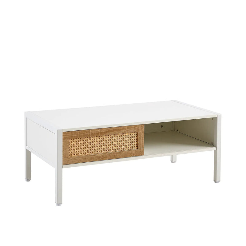 Modern Rattan Coffee Table with Sliding Door by HouseOfZazla