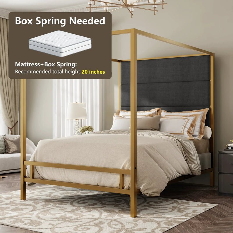 Modern Gold Metal Canopy Bed by HouseOfZazla