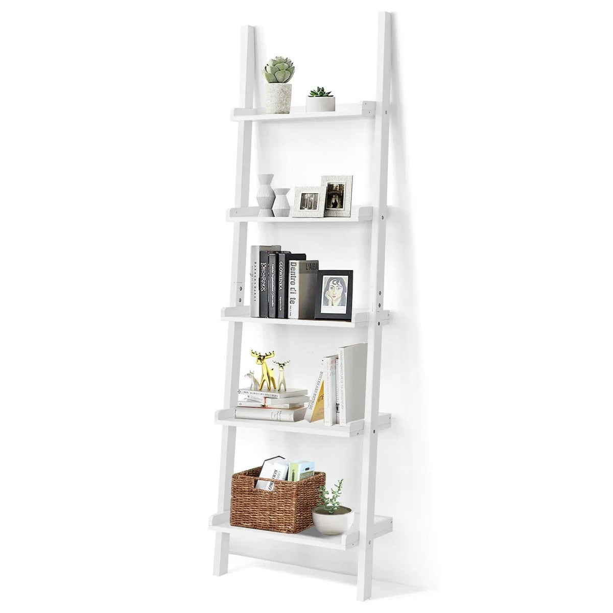 5-Tier Wall-leaning Ladder Shelf Display Rack for Plants and Books, photo 9 of 16