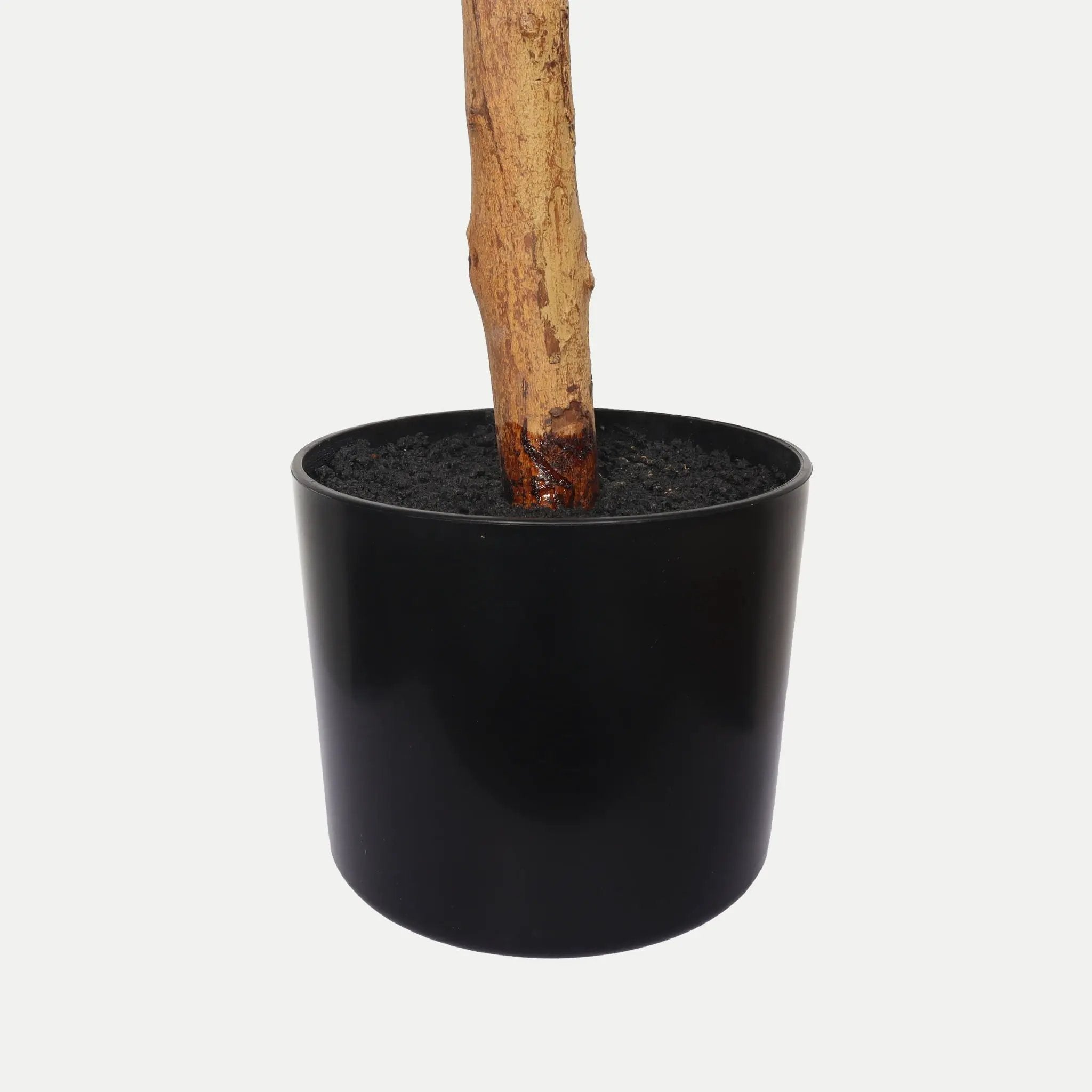 6Ft Artificial Ficus Tree With Natural Trunk In Pot For Indoor Home Office Decor - Green Leaves by Unique Piece Furniture