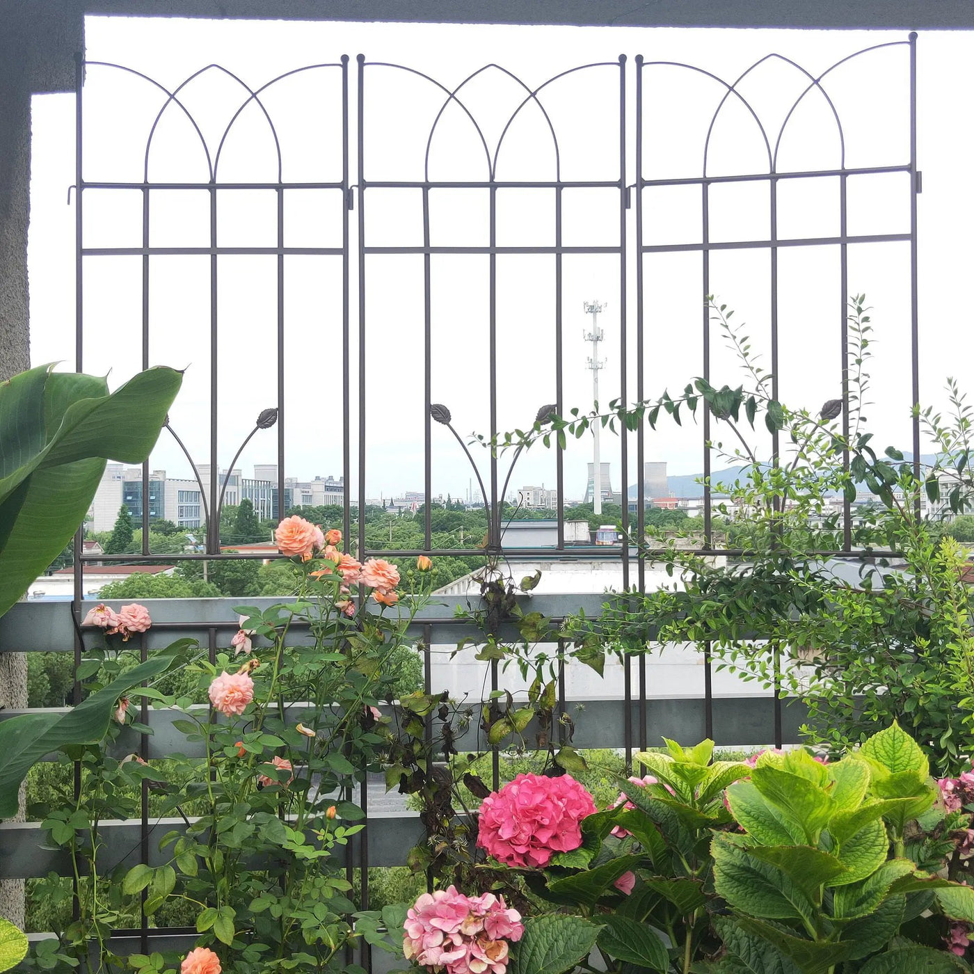 Metal Garden Trellis Rustproof For Climbing Plants Outdoor Flower Support by Unique Piece Furniture