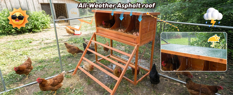 3-in-1 Nesting Boxes for Chickens with Perch and Swing by HouseOfZazla