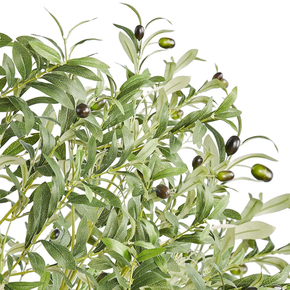Artificial Olive Tree - 6 FT Tall Faux Plant by HouseOfZazla
