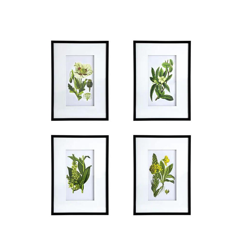 Botanical Flower Wall Art, Home Decor For Living Room Dining Room, Bedroom, Hallway (Set of 4) - White / Blue by HouseOfZazla