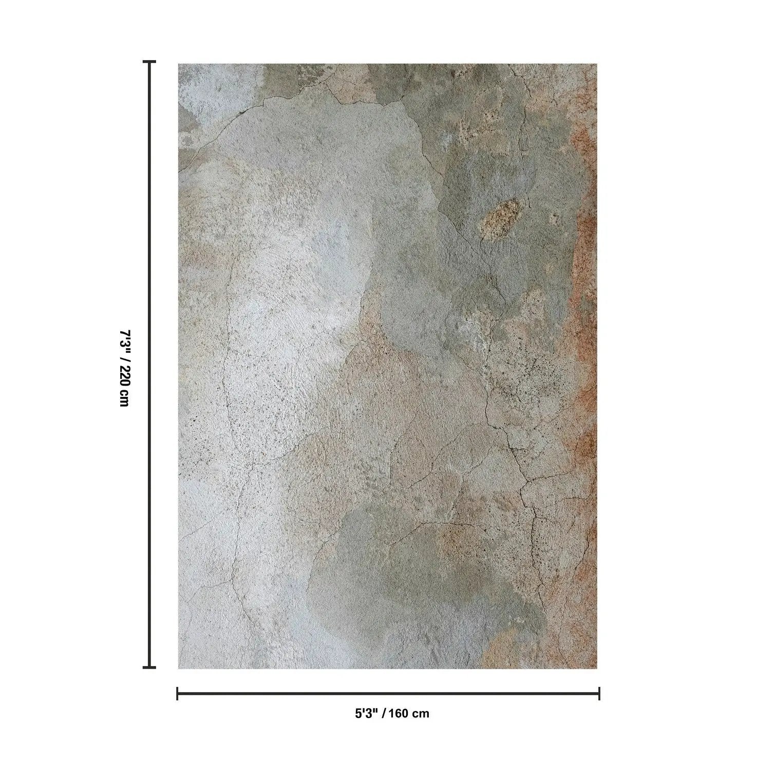 Artistic Collection Area Rug by HouseOfZazla