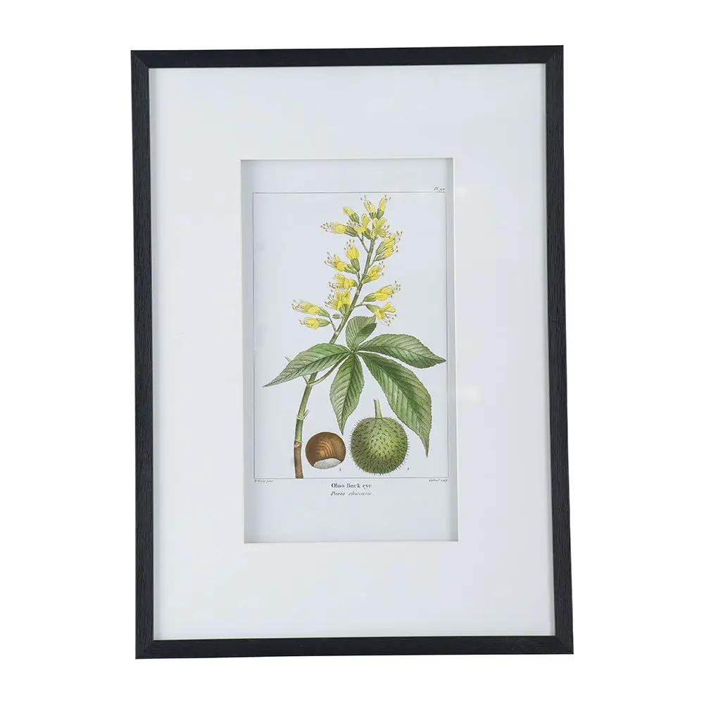 19.7x27.6 Botanical Wall Arts, Set of 2 by HouseOfZazla