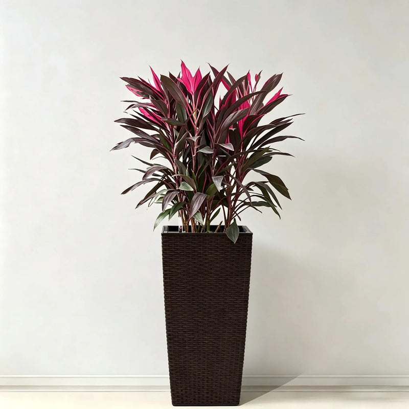 Indoor Outdoor Planter With Automatic Watering System by HouseOfZazla