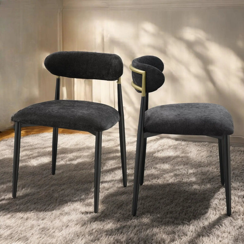Jaramillo - Contemporary Side Chair (Set of 2) by HouseOfZazla