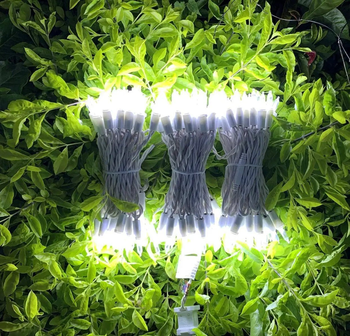 150 LED Christmas Lights, 50 FT Green/White Wire by Outdoor Solar Outlet
