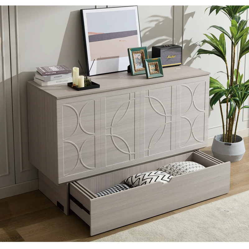 Cabinet Bed with Storage and Foam Mattress by HouseOfZazla