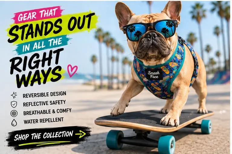 Totally Radical Reversible Dog Harness, Collar & Leash Set | Retro Gamer & Surf Skate Print | French Bulldog Harness by HouseOfZazla
