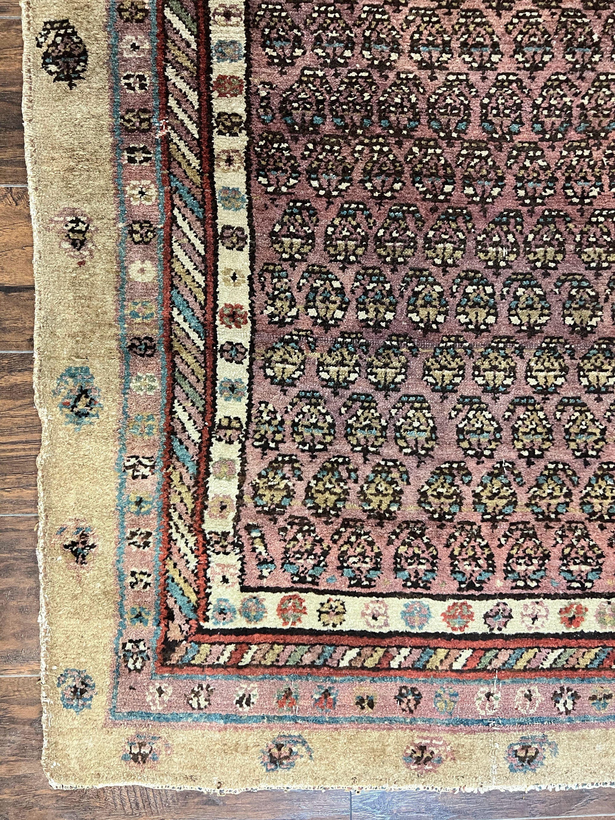 Antique Persian Sarab Runner Rug 3x11, Wool Camel Hair, Tribal Carpet for Hallway 3 x 11, Antique 1920s Rug, Handmade by Jewel Rugs