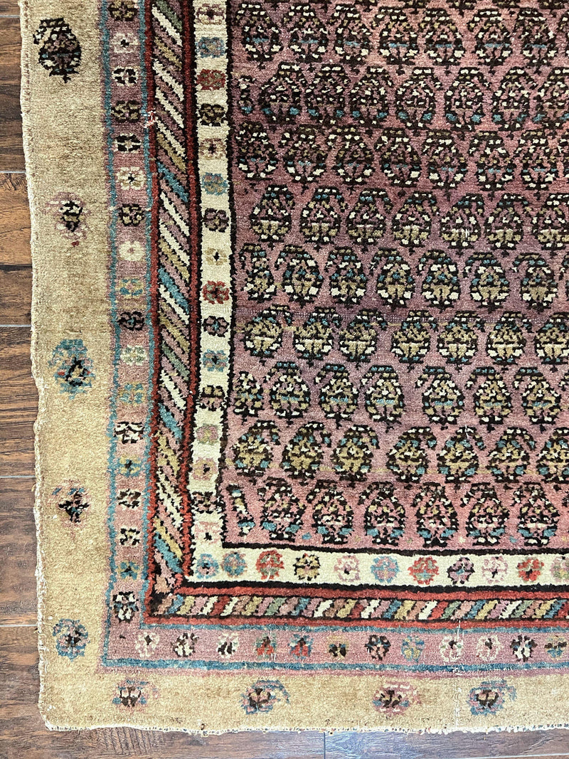 Antique Persian Sarab Runner Rug 3x11, Wool Camel Hair, Tribal Carpet for Hallway 3 x 11, Antique 1920s Rug, Handmade by Jewel Rugs