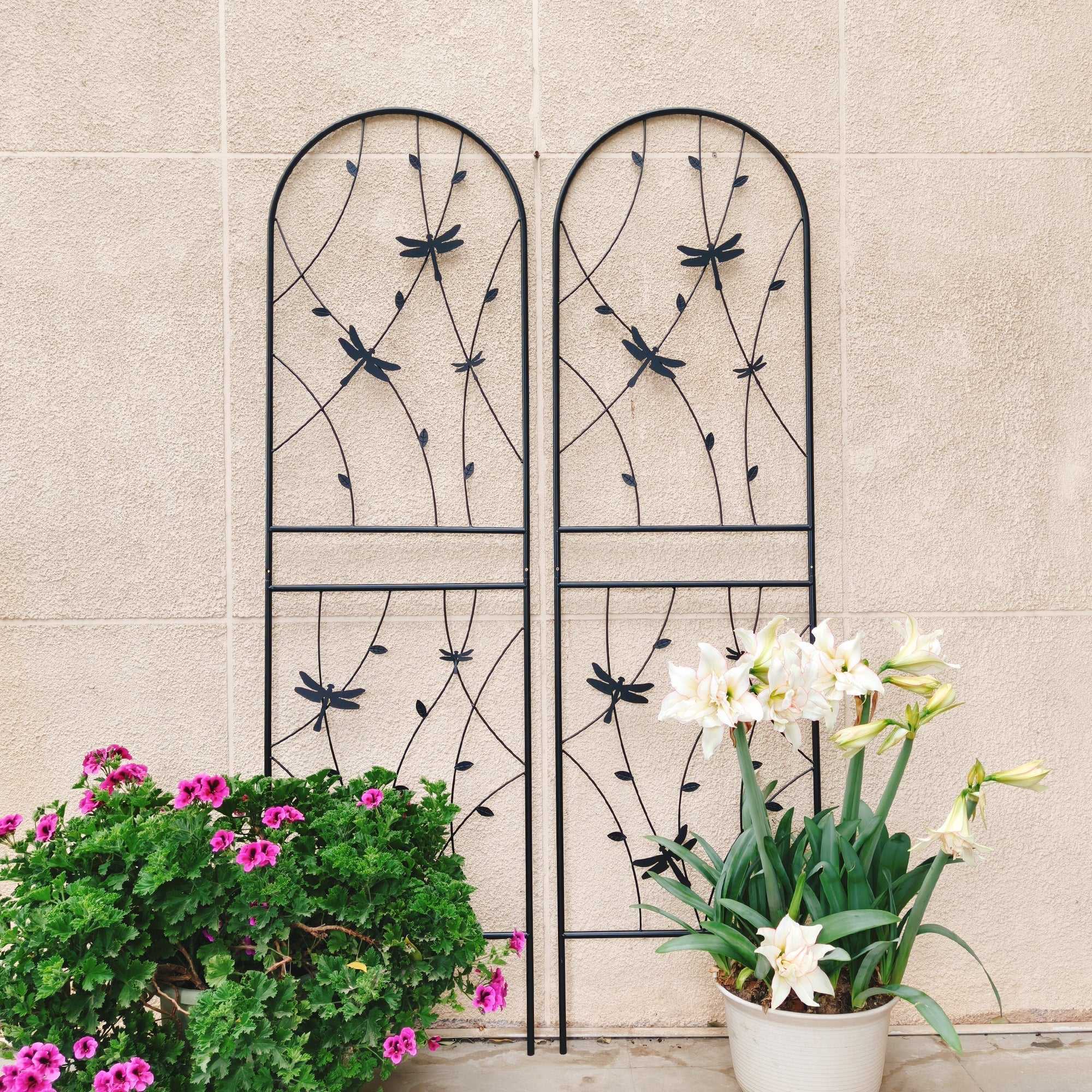 2 Pack Metal Garden Trellis 71" x 19.7" Rustproof Trellis for Climbing Plants by HouseOfZazla