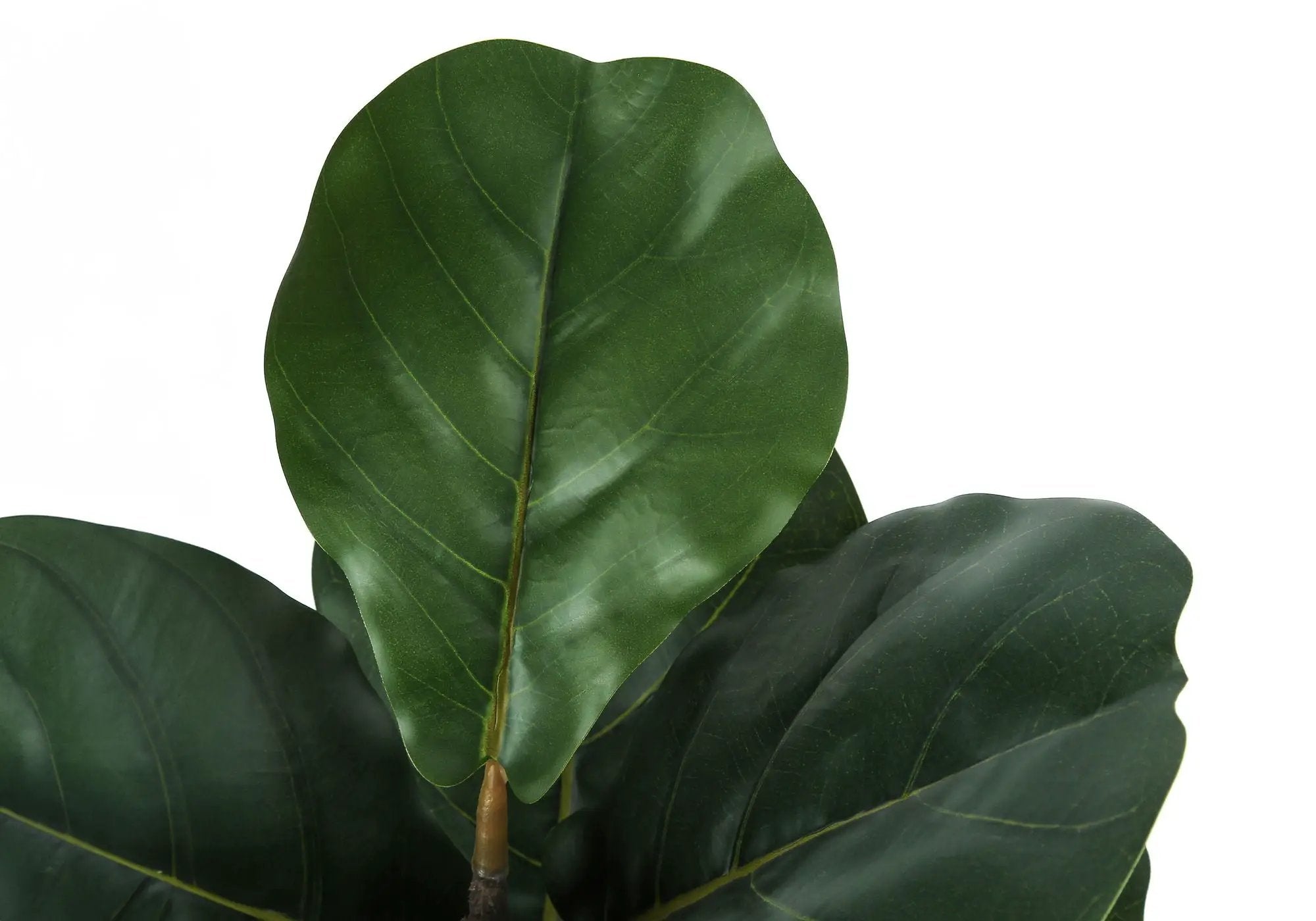 49" Tall, Artificial Plant, Fiddle Tree, Indoor, Faux, Fake, Floor, Greenery, Potted, Real Touch, Decorative - Green / Black by Unique Piece Furniture