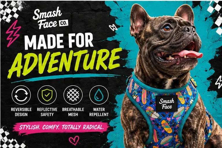 Totally Radical Reversible Dog Harness, Collar & Leash Set | Retro Gamer & Surf Skate Print | French Bulldog Harness by HouseOfZazla