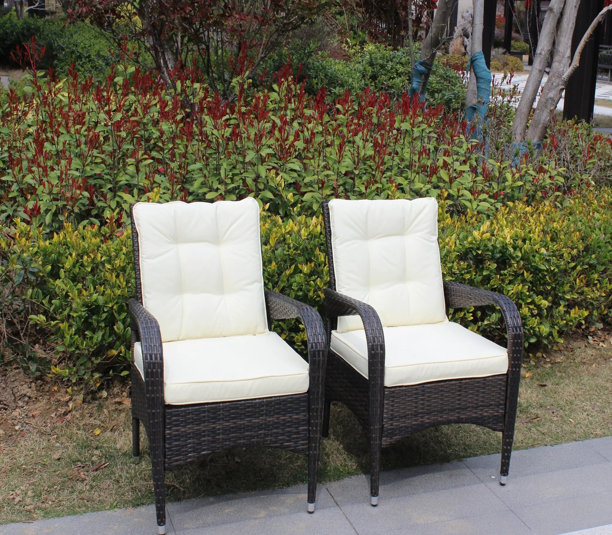 2-Piece Liberatore Dining Chairs with Beige Cushions by HouseOfZazla