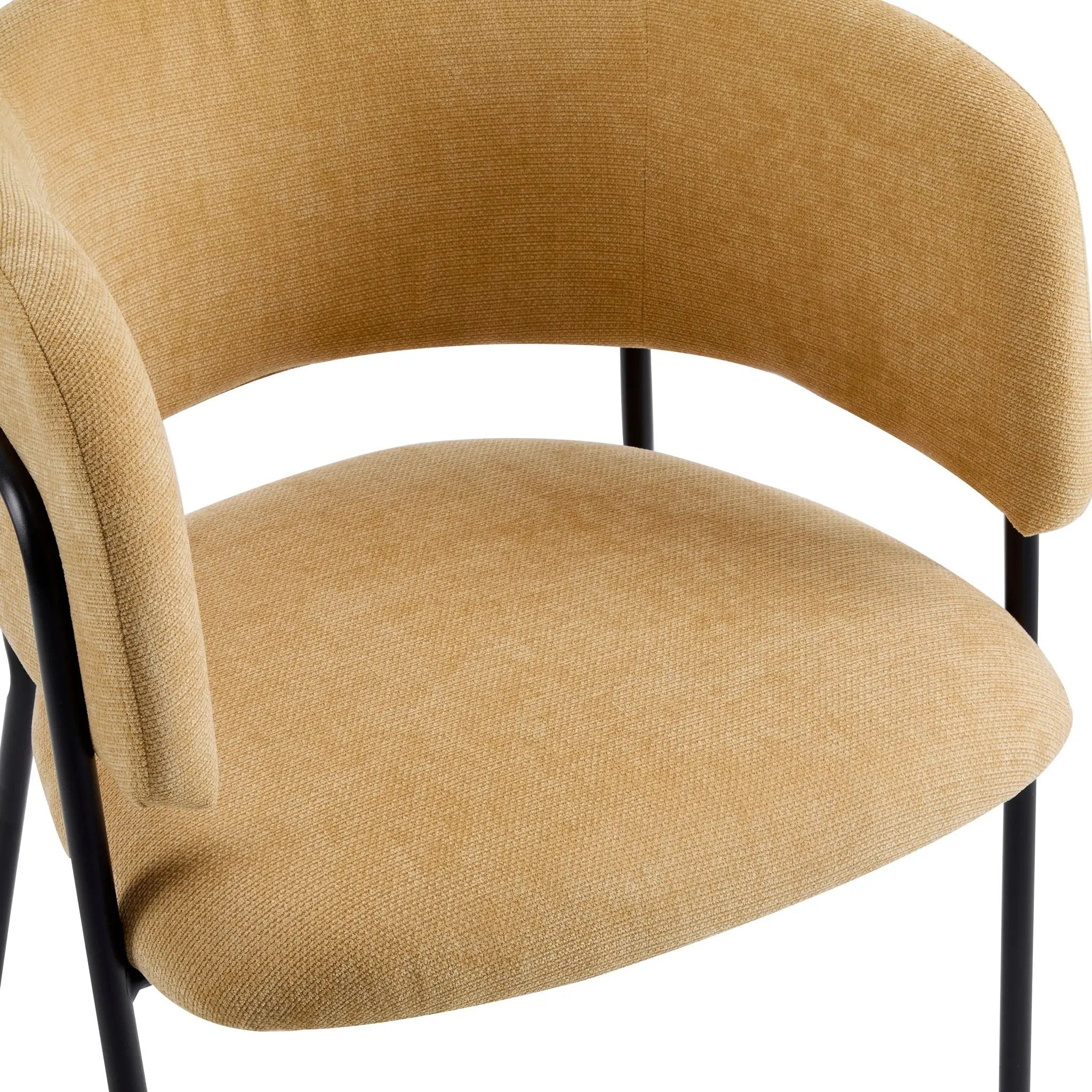 Modern Upholstered Arm Dining Chair Set by HouseOfZazla