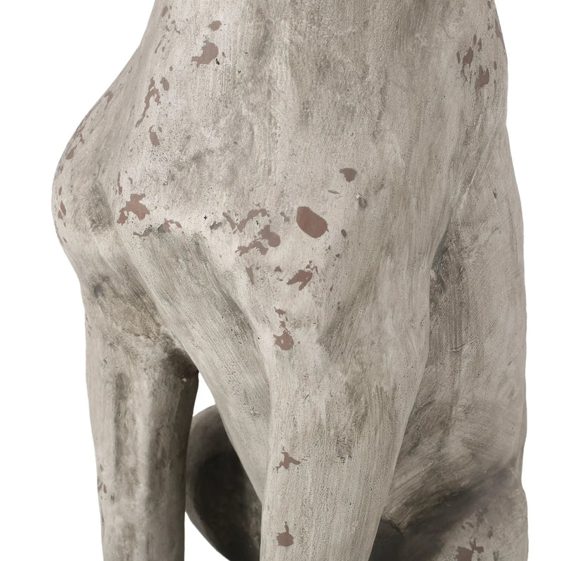 MGO Outdoor Dog Statue, Antique White by HouseOfZazla