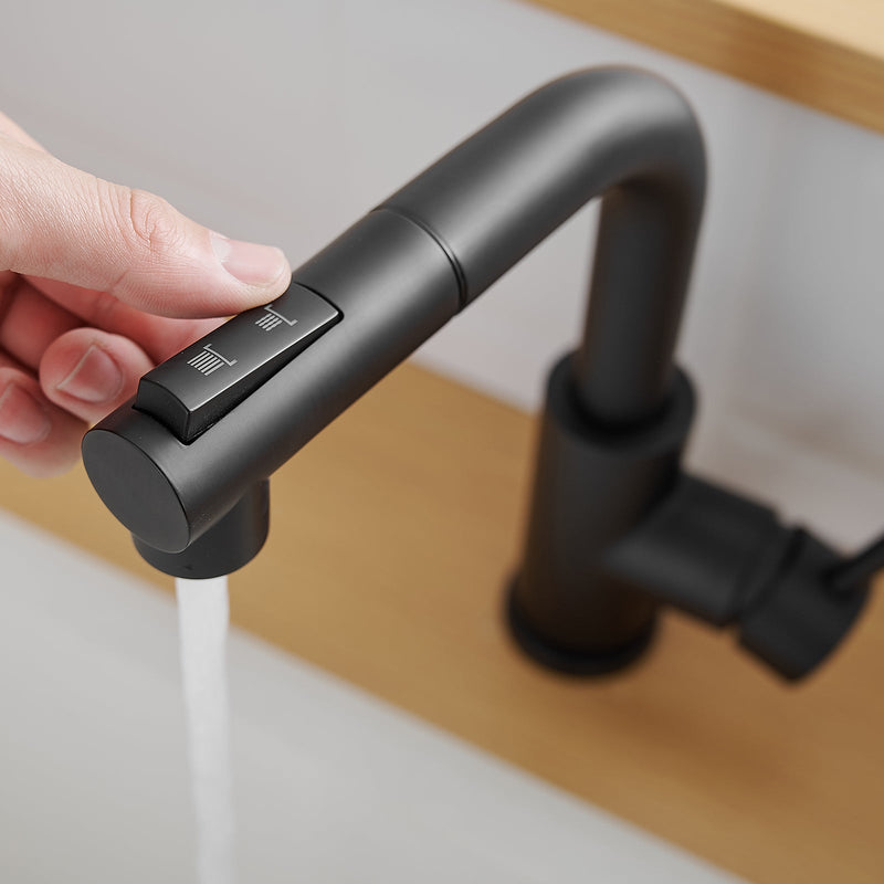 Black Kitchen Sink Faucet with Pull Down Sprayer by HouseOfZazla