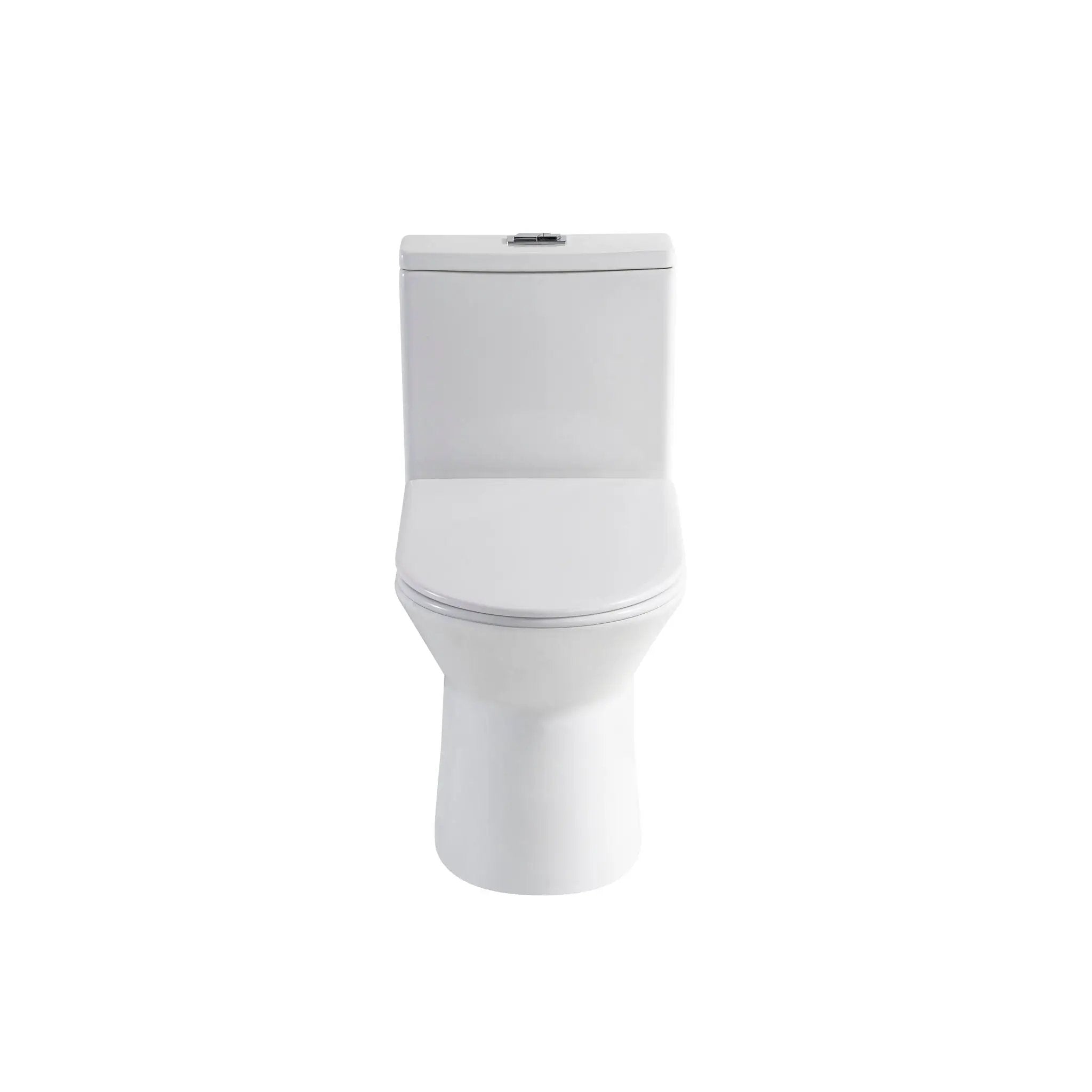 1 Piece Toilet With Dual Flush & Rimless Bowl - Glossy White by HouseOfZazla