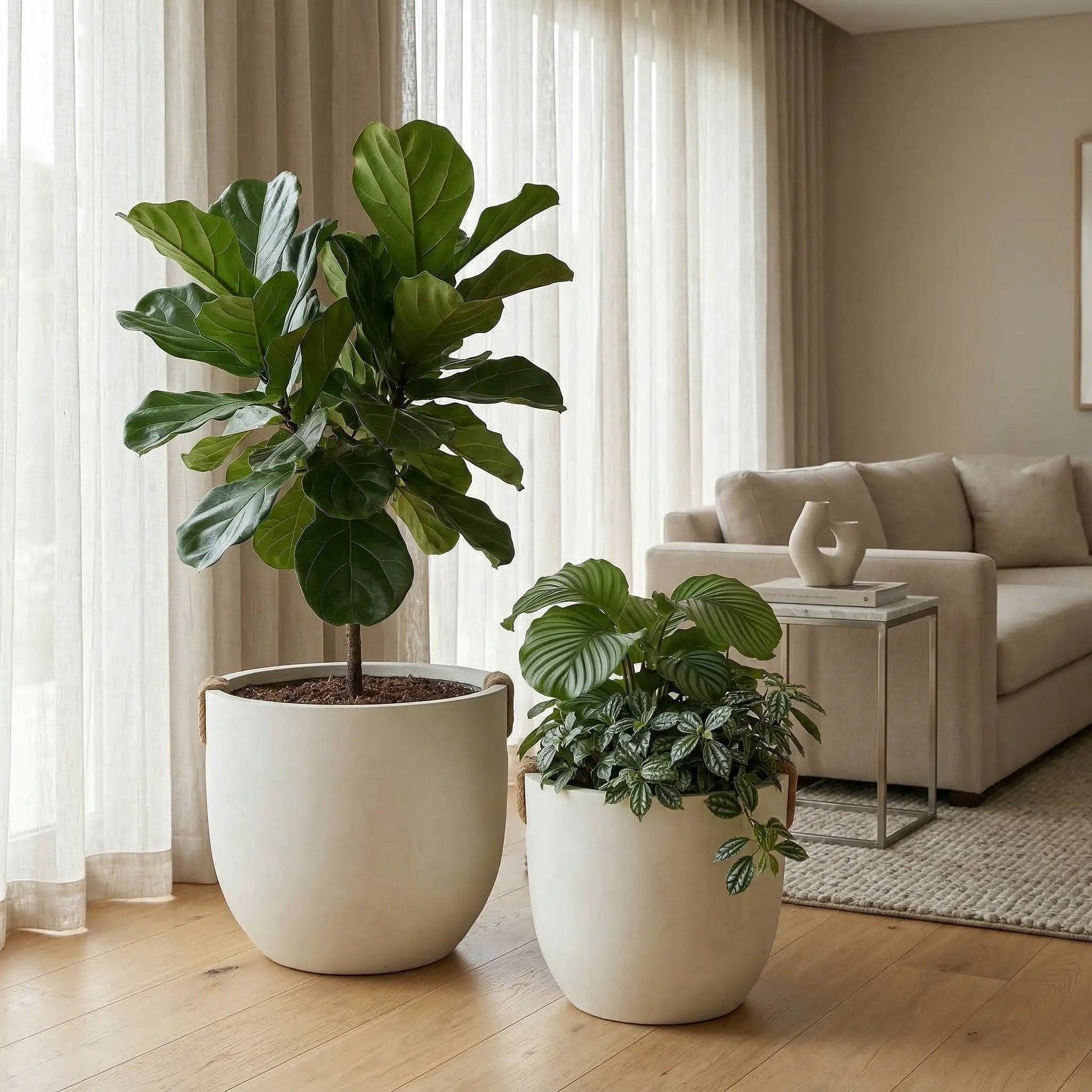 Round Concrete Planter Set of 2, Large Handmade Off White Pots by HouseOfZazla
