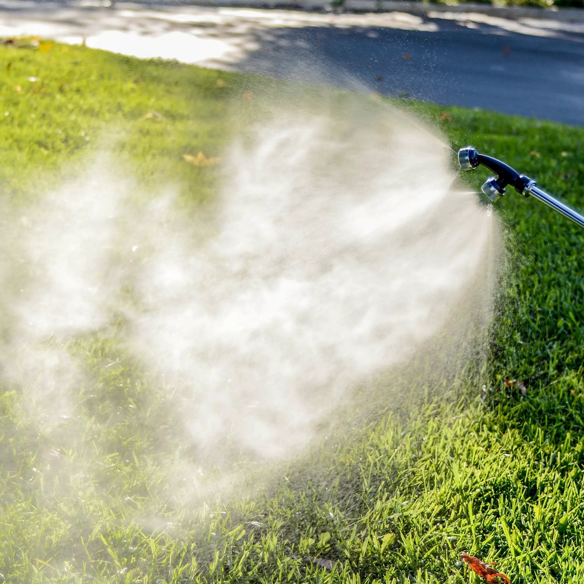 5 Gallon Gas Power Backpack Sprayer with Twin Tip Nozzle for Pesticides by Tomahawk Power