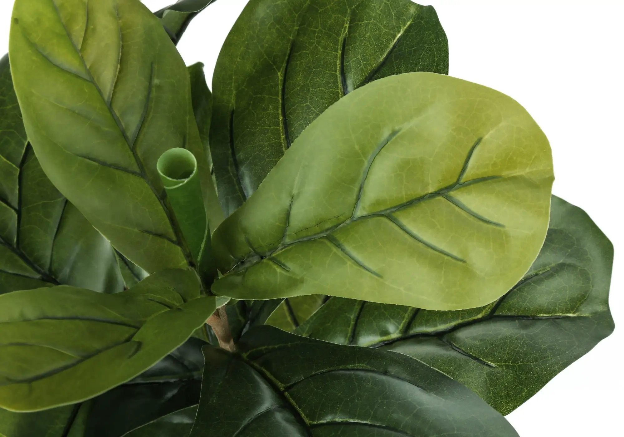 41" Tall, Artificial Plant, Fiddle Tree, Indoor, Faux, Fake, Floor, Greenery, Potted, Real Touch, Decorative - Green / Black by Unique Piece Furniture