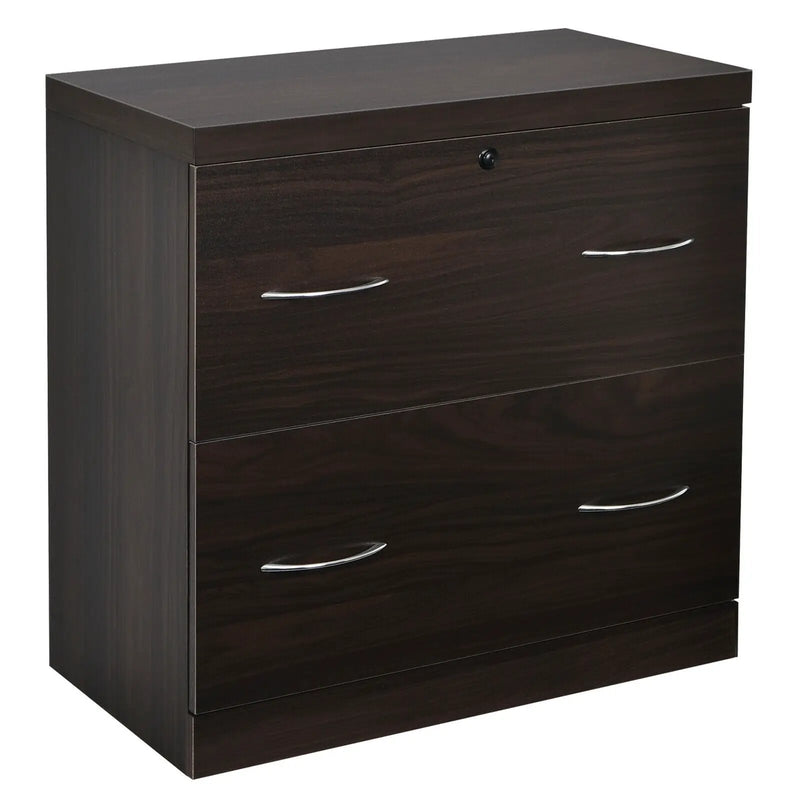 2-Drawer File Cabinet with Lock Hinging Bar Letter and Legal Size by DirectDeals