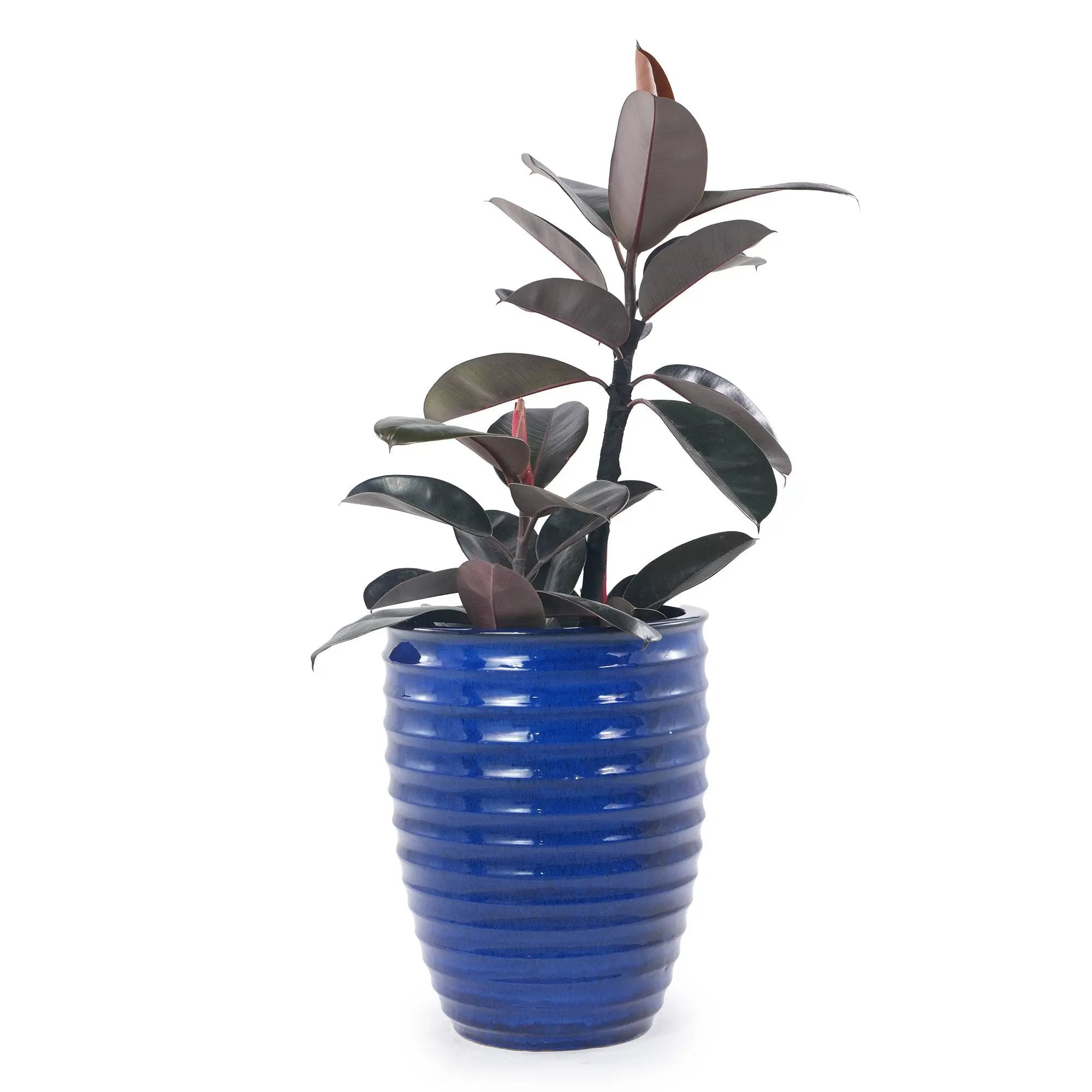 Handmade Sapphire Garden Pot by HouseOfZazla