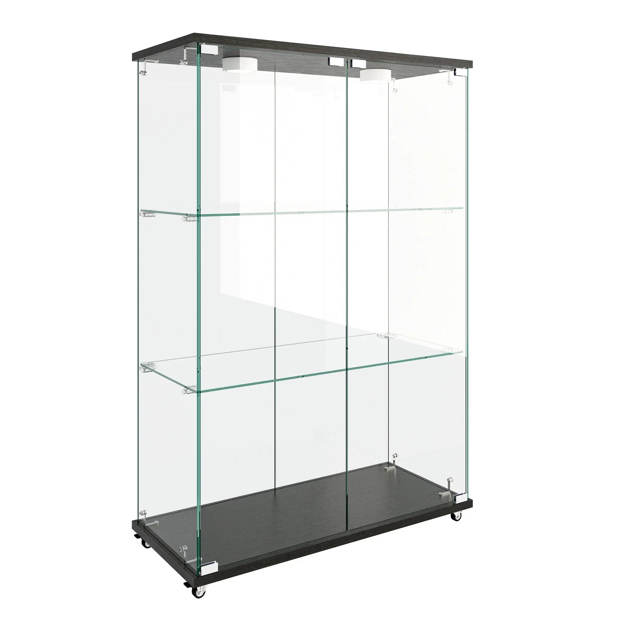 Modern Display Cabinet With LED Lights, Transparent Tempered Glass 2 Door Storage Case With 3 Shelves by Unique Piece Furniture