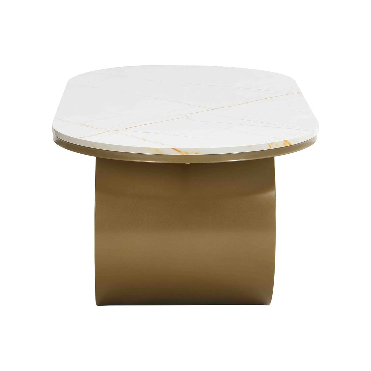 Luxury Modern Oval Coffee Table by HouseOfZazla
