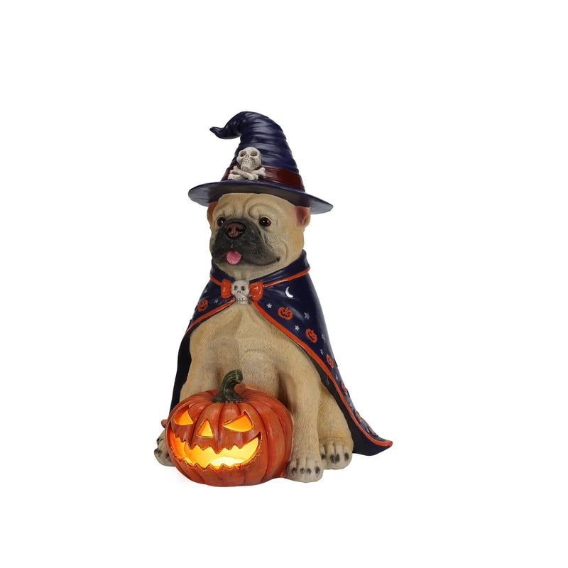 Halloween Bulldog Witch Statue, LED Light Up Jack-O-Lantern Pumpkin by HouseOfZazla