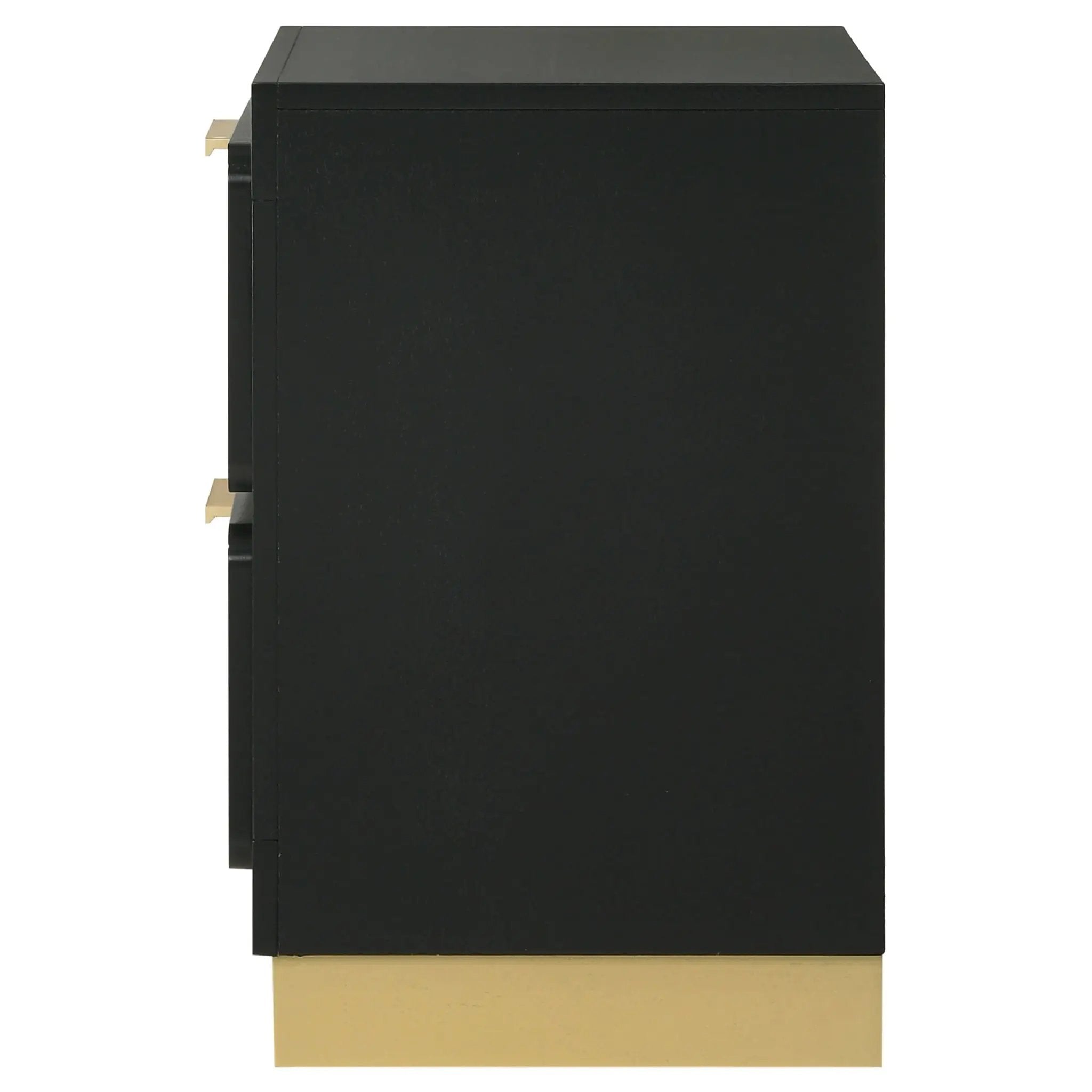Caraway 2-drawer Nightstand Black by Unique Piece Furniture