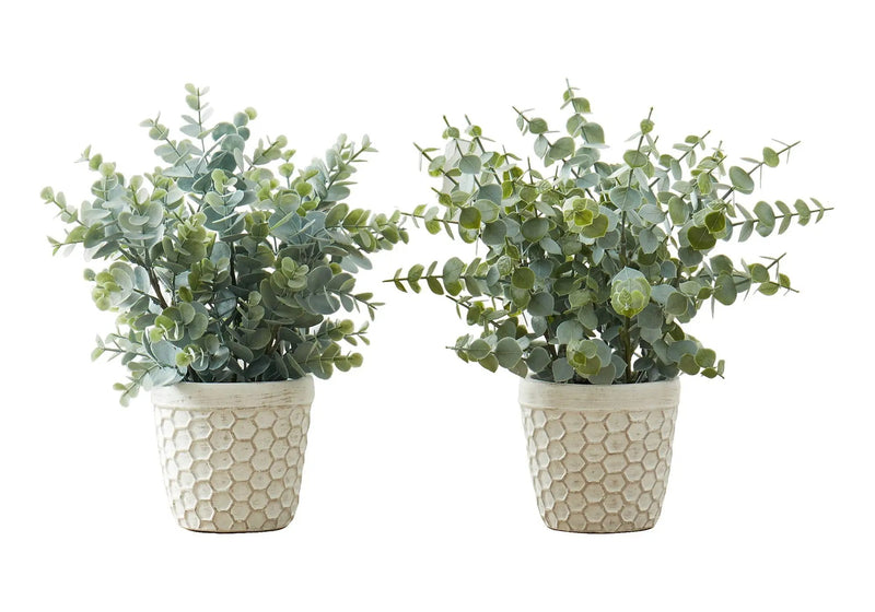 13" Tall Artificial Eucalyptus Grass Plant Set of 2 by HouseOfZazla