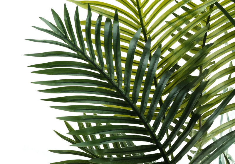57" Tall, Artificial Plant, Palm Tree, Indoor, Faux, Fake, Floor, Greenery, Potted, Real Touch, Decorative - Green / Black by Unique Piece Furniture