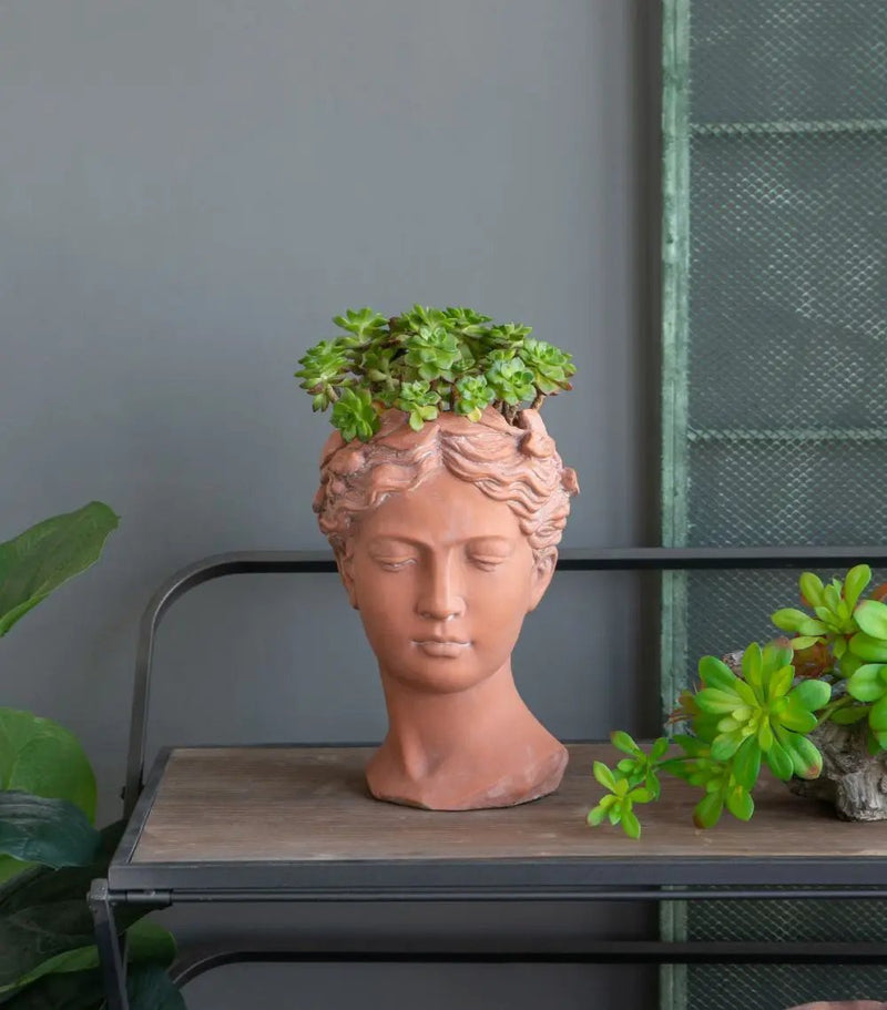 D7X11" Visage Head Bust Planter - Brown by HouseOfZazla