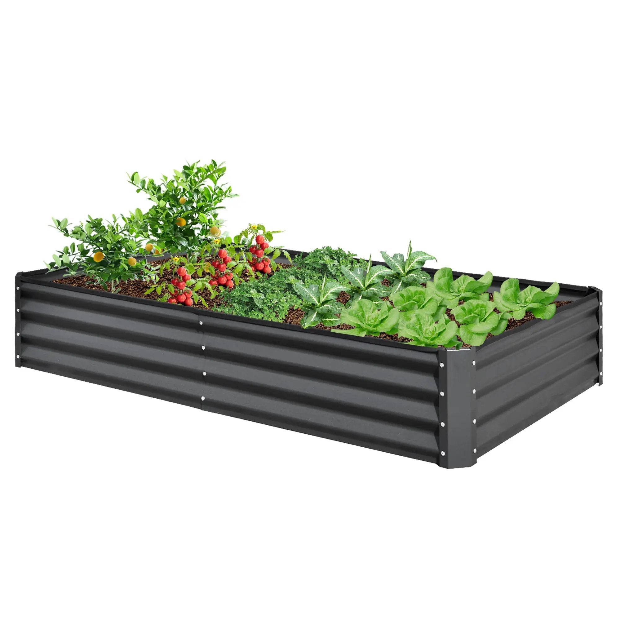 Galvanized Raised Garden Bed by HouseOfZazla