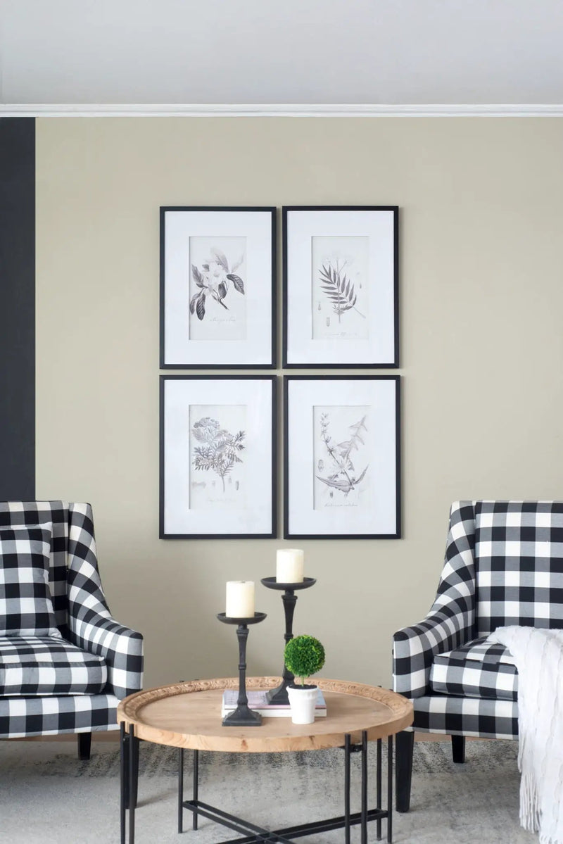 Botanical Wall Art Prints, Home Decor For Living Room Dining Room, Bedroom, Hallway (Set of 4) - White / Black by HouseOfZazla