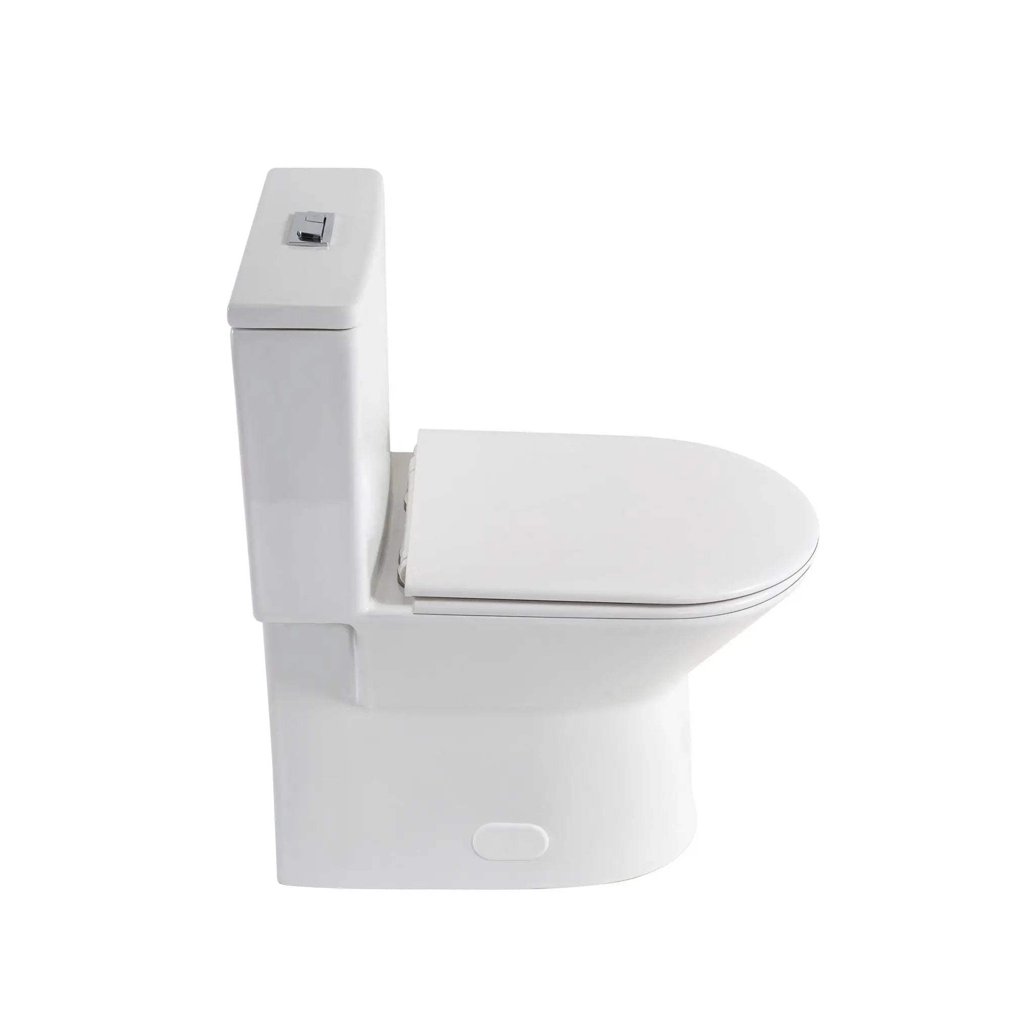 1 Piece Toilet With Dual Flush & Rimless Bowl - Glossy White by HouseOfZazla