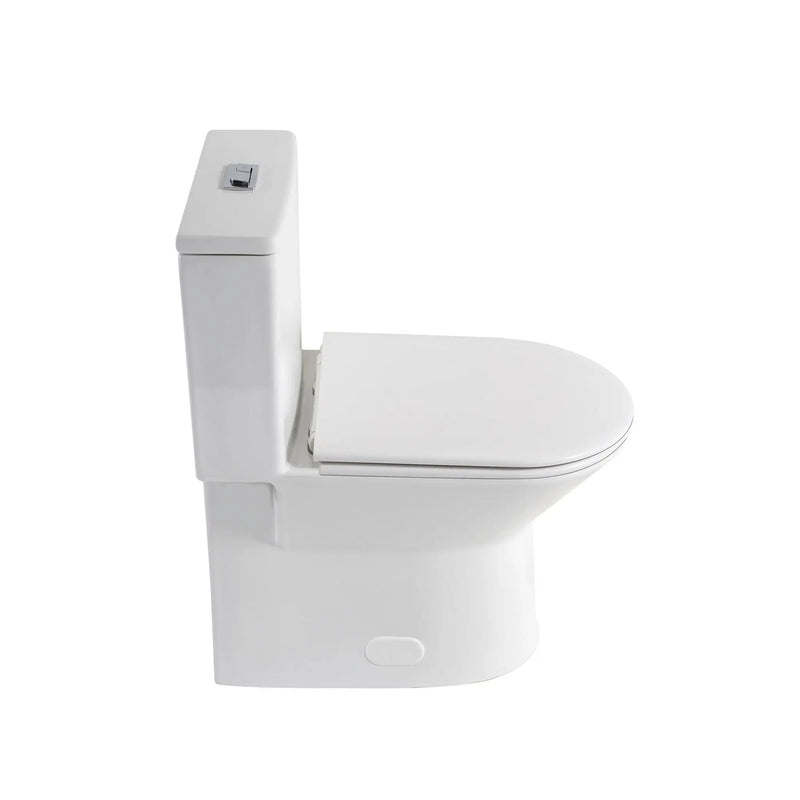 1 Piece Toilet With Dual Flush & Rimless Bowl - Glossy White by HouseOfZazla