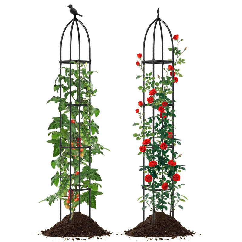 2-Pack Garden Obelisk Trellis for Climbing Plants-Black by DirectDeals