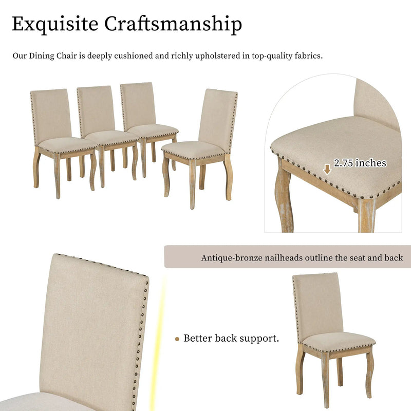 TREXM Set of 2 Dining Chairs by HouseOfZazla