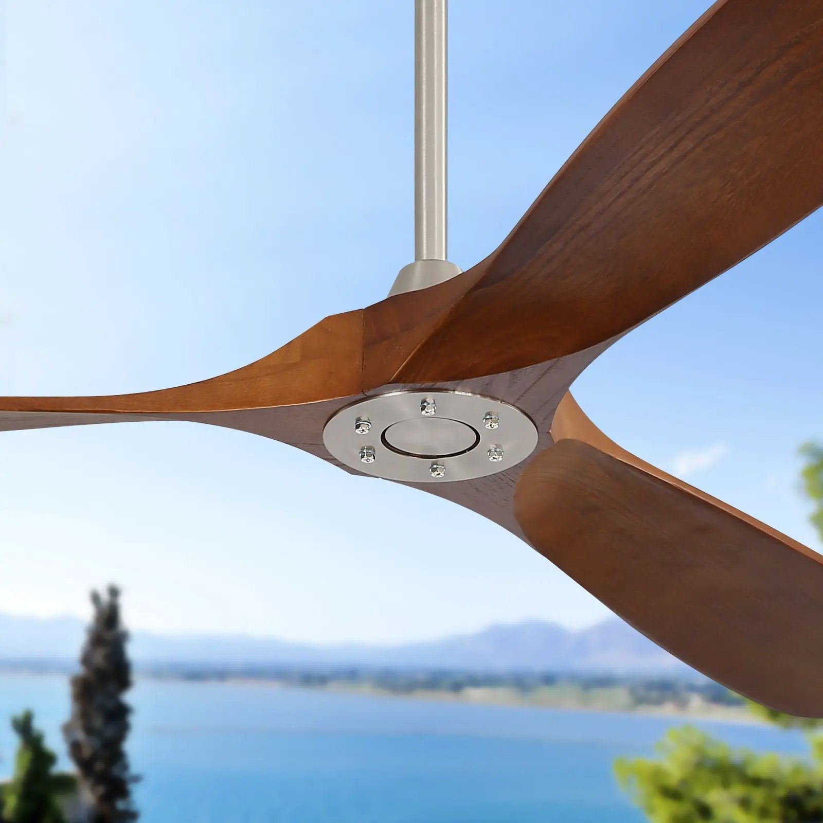 60 Inch Indoor Modern Ceiling Fan With 3 Solid Wood Blades by HouseOfZazla