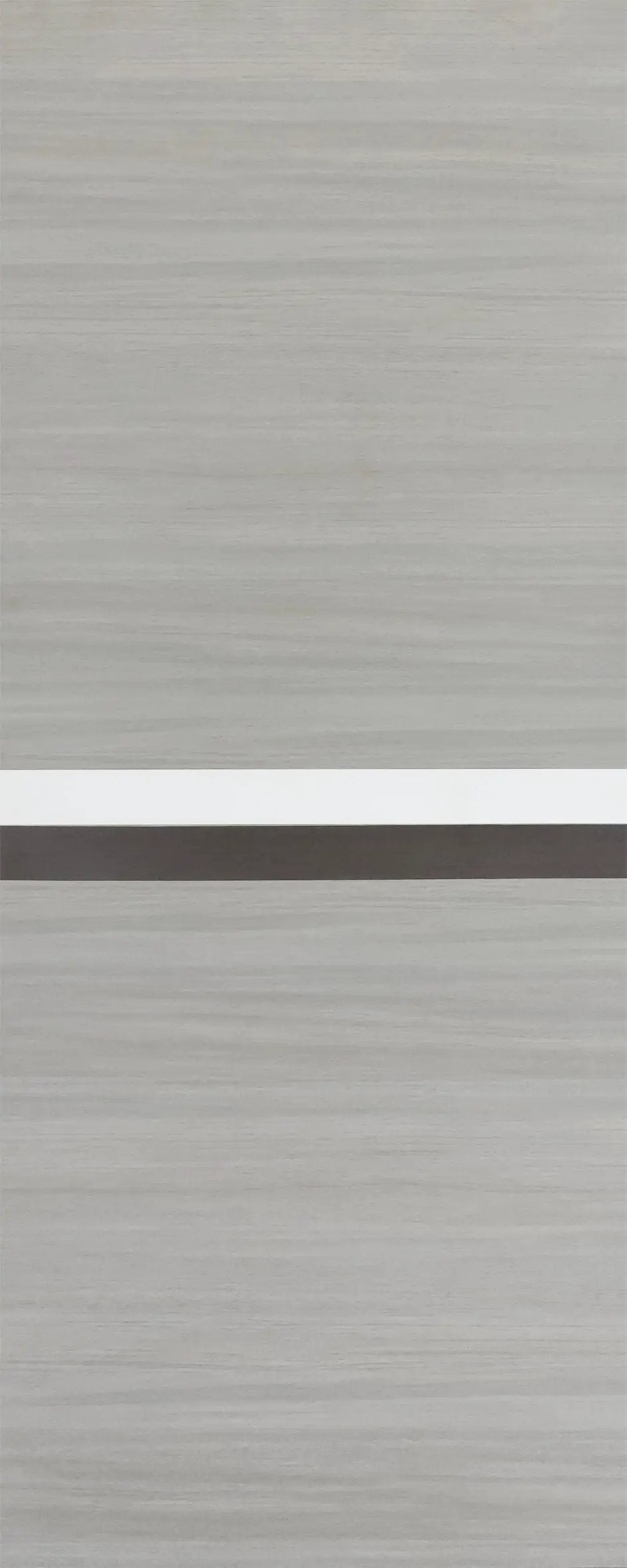 CRAZY ELF 24" x 80" Melamine Integrated Door Slab by HouseOfZazla