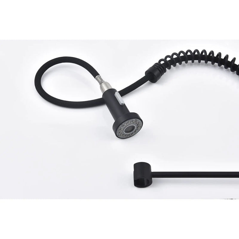 Pull Down Single Handle Spring Kitchen Faucet by HouseOfZazla
