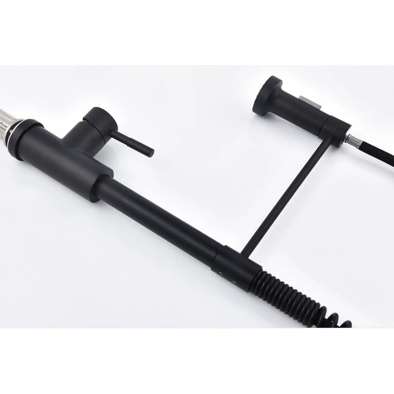 Pull Down Single Handle Spring Kitchen Faucet by HouseOfZazla