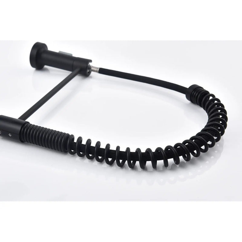 Pull Down Single Handle Spring Kitchen Faucet by HouseOfZazla