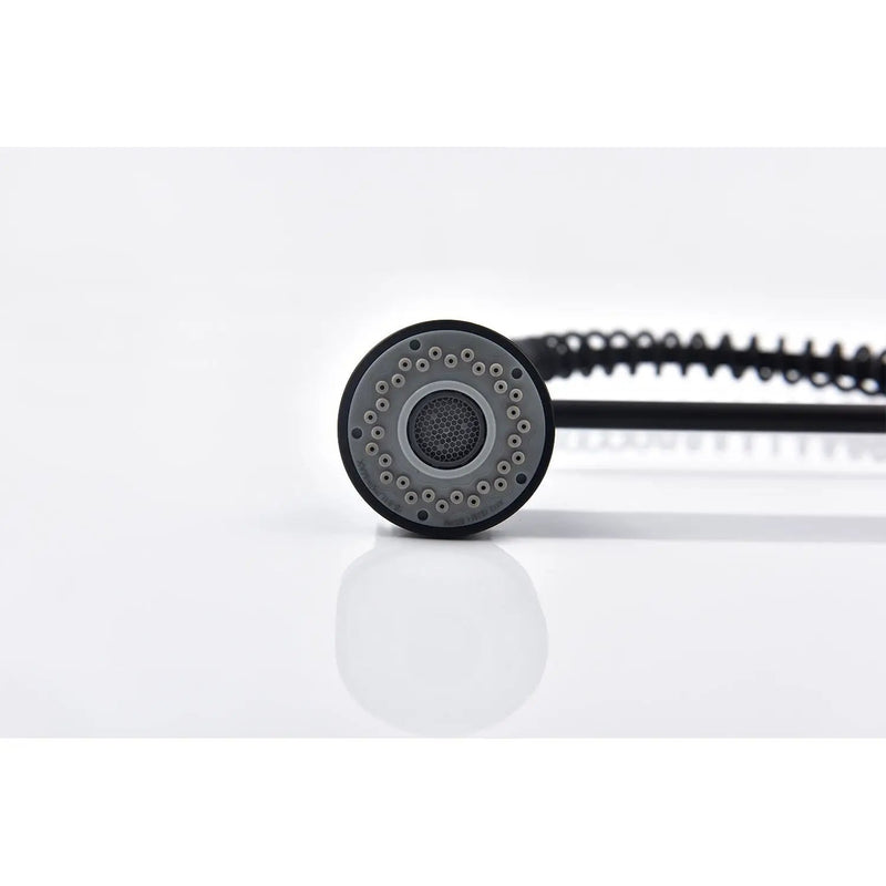 Pull Down Single Handle Spring Kitchen Faucet by HouseOfZazla
